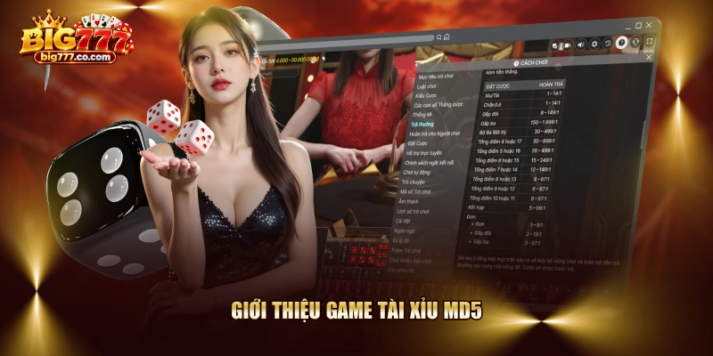 Giới thiệu game Tài Xỉu MD5