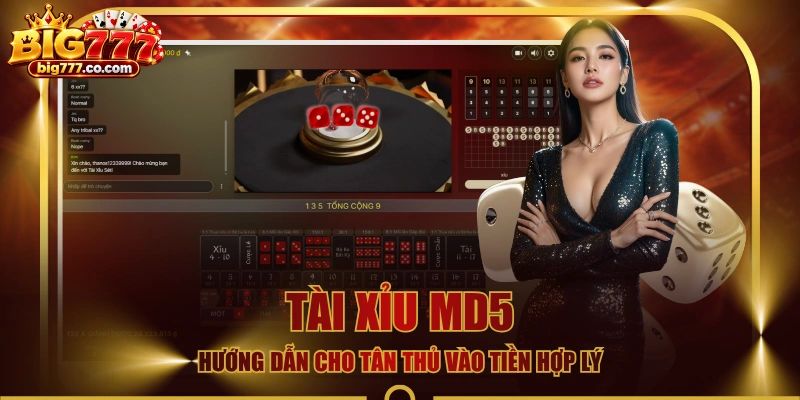 Tài Xỉu MD5 - Hướng Dẫn Cho Tân Thủ Vào Tiền Hợp Lý